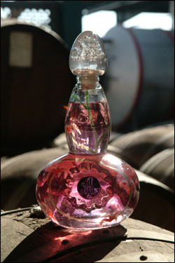 Pink Tequila Bottle